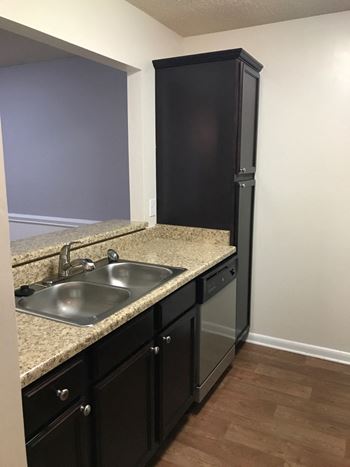 Faux Granite Countertops in the Model Floor Plan at the Avenues at Steele Creek Apartments